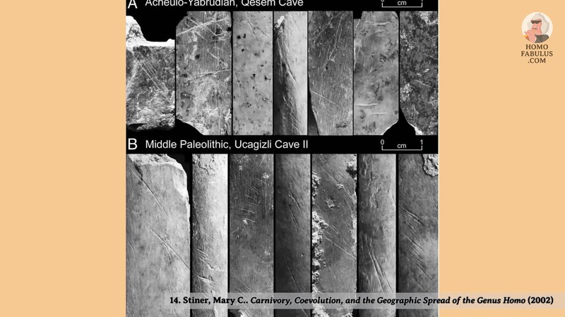 Image d’illustration de : 400 000 ans en haut, 200 000 en bas.